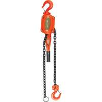 Lever Hoist, 5' Lift, 6000 lbs. (3 tons) Capacity, Alloy Steel Chain Cam Industrial