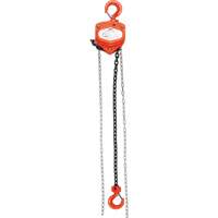 Chain Hoist, 10' Lift, 1000 lbs. (0.45 tons) Capacity, Alloy Steel Chain Cam Industrial