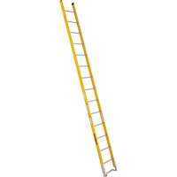 Single Section Straight Ladder - 6100 Series, 14', Fibreglass, 375 lbs., CSA Grade 1AA Cam Industrial
