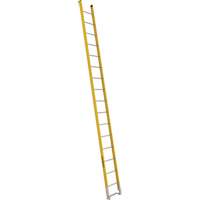 Single Section Straight Ladder - 6100 Series, 16', Fibreglass, 375 lbs., CSA Grade 1AA Cam Industrial
