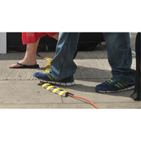 Syst&egrave;me de protection de c&acirc;bles Ultra-Sidewinder - petit , 13,125" x 3" x 0,75", 32000 lb (16 tonnes) Cam Industrial