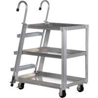 Stockpicker Truck, Aluminum, 21-7/8" W x 40" D, 3 Shelves, 660 lbs. Capacity Cam Industrial