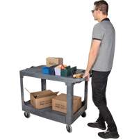 Flat-Shelf Utility Service Cart, 2 Tiers, 25-1/4" x 32-1/4" x 44", 550 lbs. Capacity Cam Industrial