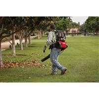 M18 FUEL Dual Battery Backpack Blower Kit, 18 V, 155 MPH Output, Battery Powered Cam Industrial
