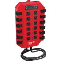 Power Manager, 12 Outlet(s), 15 A Cam Industrial