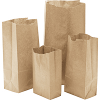 Paper Bags, Paper, 3" W x 5-7/8" L Cam Industrial