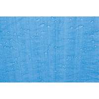 Tarp, Standard Duty, Blue, 7' x 5' x 4 mils Cam Industrial