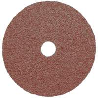 Resin Fibre Sanding Disc, Aluminum Oxide, A16, 5" Dia x 7/8" Arbor Cam Industrial