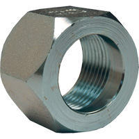 &eacute;crou hexagonal de minage Dixon, 1", Zingu&eacute;, Filetage NPT Cam Industrial
