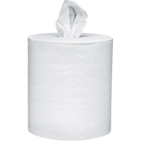Scott<sup>®</sup> Essential Paper Towels, 2 Ply, Centre Pull, 625' L NJI990 | Cam Industrial
