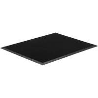 Tapis Gritstop Fingermat, Caoutchouc, Grattoir Type, Motif Textur&eacute;, 2' x 2-2/3', Noir Cam Industrial
