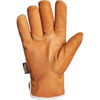 Endura&reg; Gloves, Large, Synthetic Palm, Thinsulate Inner Lining Cam Industrial