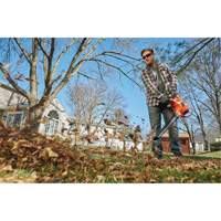 3-in-1 VacPack Leaf Blower/Vacuum/Mulcher, 250 MPH Output, Electric Cam Industrial