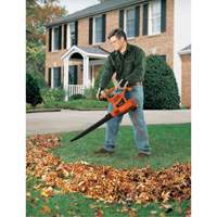 Leaf Blower/Vacuum/Mulcher, 210 MPH Output, Electric Cam Industrial