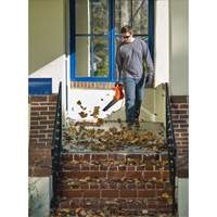 Leaf Blower, 180 MPH Output, Electric Cam Industrial
