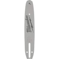 Guide-chaîne 10" pour scie &agrave; long manche Cam Industrial