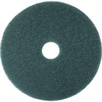 Cleaner Pad, 13", Scrubbing, Blue Cam Industrial