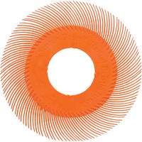 Scotch-Brite Type C Precision Radial Bristle Brush PN-RB without Adapter, Ceramic, 80+ Grit, 6" Dia. Cam Industrial