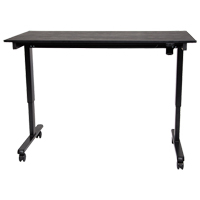 Adjustable Stand-Up Desk, Stand-Alone Desk, 45-1/4" H x 29-1/2" D, Black Cam Industrial