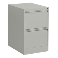 Vertical Filing Cabinet, Steel, 2 Drawers, 18-1/7" W x 25" D x 29" H, Grey Cam Industrial