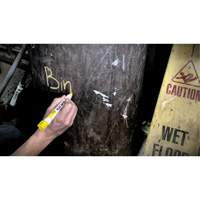 Quik Stik&reg; Twist-Up Paint Markers, Solid Stick, White Cam Industrial