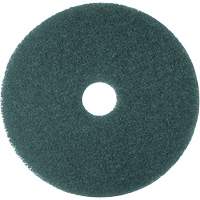 5300 Series Pad, 16", Cleaning, Blue PG207 | Cam Industrial