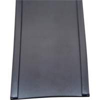 Card Holder, Magnetic, 600" L x 2" W Cam Industrial