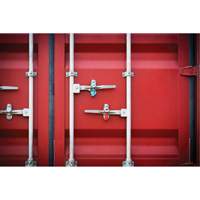 Scell&eacute;s de haute s&eacute;curit&eacute;, 3-1/4", M&eacute;tal, Scell&eacute; &agrave; boulon Cam Industrial