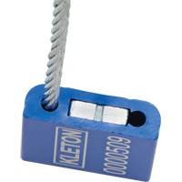 Scell&eacute;s de haute s&eacute;curit&eacute;, 12", M&eacute;tal, Scell&eacute; &agrave; c&acirc;ble Cam Industrial