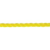 1/4" Braided Yellow Rope, Polypropylene, 1300' Cam Industrial