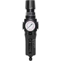 Filtre/r&eacute;gulateur drain manuel avec bol en m&eacute;tal Modulair 300, 1/4" NPT, 250 PSI, Capacit&eacute; de 5,1 oz liq. Cam Industrial