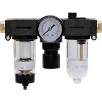 Filter, Regulator & Lubricator Modulair 200, 1/4" NPTF Cam Industrial