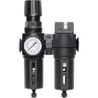 Filtre/d&eacute;tendeur & filtre coalescent Modulair 300 avec bol standard & drain manuel, 3/8" NPTF, 150 psi, Capacit&eacute; de 5,12 oz liq Cam Industrial