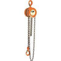 Chain Hoist, 10' Lift, 1000 lbs. (0.5 tons) Capacity, Steel Chain Cam Industrial