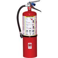 Extincteur d'incendie, ABC, Capacit&eacute; 10 lb Cam Industrial