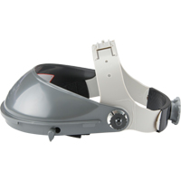 Face Protection