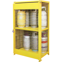 Gas Cylinder Cabinets, 12 Cylinder Capacity, 44" W x 30" D x 74" H, Yellow Cam Industrial