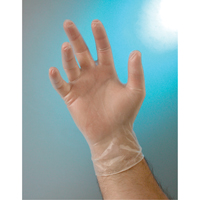 Examination Grade Gloves, Small, Vinyl, 4-mil, Powder-Free, Clear, Class 2 Cam Industrial