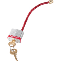 Switch Padlocks, Wall Switch Type Cam Industrial