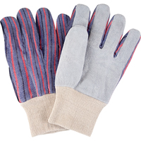 Gants de travail d'usage standard, Grand, Paume en Cuir de vache refendu Cam Industrial