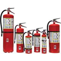 Fire Extinguisher, ABC, 30 lbs. Capacity Cam Industrial