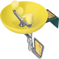 Eye/Face Wash Station, Wall-Mount Installation, Plastic Bowl Cam Industrial