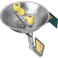 Eyewash Station, Wall-Mount Installation, Stainless Steel Bowl Cam Industrial