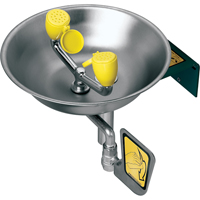 Eye/Face Wash Station, Wall-Mount Installation, Stainless Steel Bowl Cam Industrial