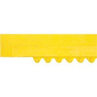 Rampe de bordure pour tapis Cam Industrial