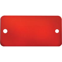 Blank Tags, Aluminum, 3" W x 1" H Cam Industrial