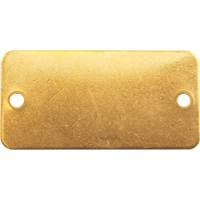 Blank Tags, Brass, 2" W x 1" H Cam Industrial