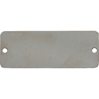 Blank Tags, Stainless Steel, 3" W x 1" H Cam Industrial