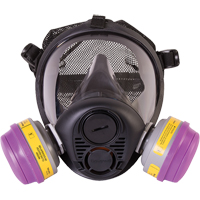 Respirateur &agrave; masque complet de s&eacute;rie RU6500 de North, Silicone, Moyen Cam Industrial