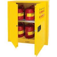Armoire pour produits inflammables, 30 gal., 2 Porte(s), 43" La x 44" h x 18" p Cam Industrial